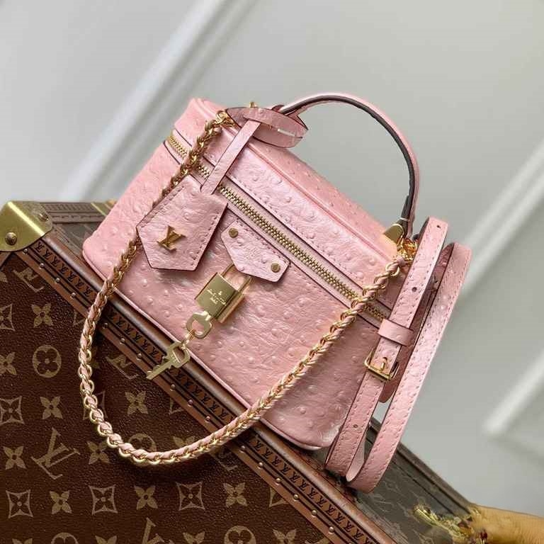 LV Vanity Chain Pouch Autruche - N85820